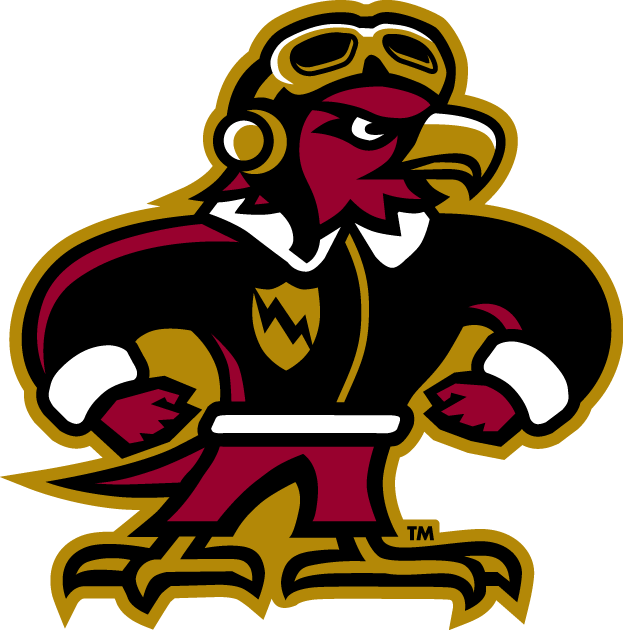 Louisiana-Monroe Warhawks 2006-Pres Misc Logo v5 diy DTF decal sticker